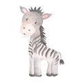 Picture of Baby Zebra  _GroupedProduct_Square_Mini_ _GroupedProduct_Square_Unframed_Print_Only_