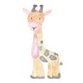 Picture of Baby Giraffe _GroupedProduct_Square_Mini_ _GroupedProduct_Square_Unframed_Print_Only_