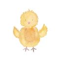 Picture of Nursery Chick _GroupedProduct_Square_Mini_ _GroupedProduct_Square_Unframed_Print_Only_