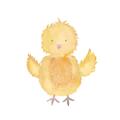 Picture of Nursery Chick _GroupedProduct_Square_Mini_ _GroupedProduct_Square_Unframed_Print_Only_