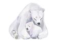 Picture of Polar Bear Mom and Baby _GroupedProduct_Rectangle_Landscape_Mini_ _GroupedProduct_Rectangle_Landscape_Unframed_Print_Only_
