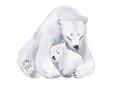 Picture of Polar Bear Mom and Baby _GroupedProduct_Rectangle_Landscape_Mini_ _GroupedProduct_Rectangle_Landscape_Unframed_Print_Only_