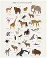 Picture of Animal Alphabet _GroupedProduct_Rectangle_Portrait_Unframed_Print_Only_