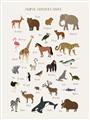 Picture of Animal Alphabet _GroupedProduct_Rectangle_Portrait_Unframed_Print_Only_