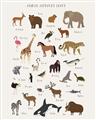 Picture of Animal Alphabet _GroupedProduct_Rectangle_Portrait_Unframed_Print_Only_