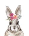 Picture of Floral Top Bunny _GroupedProduct_Rectangle_Portrait_Mini_ _GroupedProduct_Rectangle_Portrait_Unframed_Print_Only_