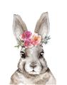 Picture of Floral Top Bunny _GroupedProduct_Rectangle_Portrait_Mini_ _GroupedProduct_Rectangle_Portrait_Unframed_Print_Only_