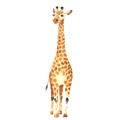 Picture of Standing Tall Giraffe _GroupedProduct_Square_Mini_ _GroupedProduct_Square_Unframed_Print_Only_