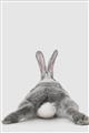 Picture of Bunny Bum  _GroupedProduct_Rectangle_Portrait_Mini_ _GroupedProduct_Rectangle_Portrait_Unframed_Print_Only_