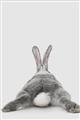 Picture of Bunny Bum  _GroupedProduct_Rectangle_Portrait_Mini_ _GroupedProduct_Rectangle_Portrait_Unframed_Print_Only_