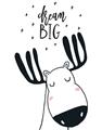 Picture of Dream Big Moose _GroupedProduct_Rectangle_Portrait_Mini_ _GroupedProduct_Rectangle_Portrait_Unframed_Print_Only_