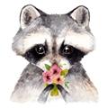 Picture of Garden Raccoon _GroupedProduct_Square_Mini_ _GroupedProduct_Square_Unframed_Print_Only_