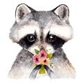 Picture of Garden Raccoon _GroupedProduct_Square_Mini_ _GroupedProduct_Square_Unframed_Print_Only_