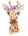Picture of Squishy Giraffe _GroupedProduct_Rectangle_Portrait_Mini_ _GroupedProduct_Rectangle_Portrait_Unframed_Print_Only_