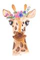 Picture of Squishy Giraffe _GroupedProduct_Rectangle_Portrait_Mini_ _GroupedProduct_Rectangle_Portrait_Unframed_Print_Only_