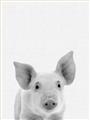 Picture of Farmhouse Pig _GroupedProduct_Rectangle_Portrait_Mini_ _GroupedProduct_Rectangle_Portrait_Unframed_Print_Only_