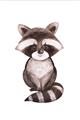 Picture of Small Raccoon _GroupedProduct_Rectangle_Portrait_Mini_ _GroupedProduct_Rectangle_Portrait_Unframed_Print_Only_