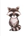 Picture of Small Raccoon _GroupedProduct_Rectangle_Portrait_Mini_ _GroupedProduct_Rectangle_Portrait_Unframed_Print_Only_