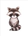 Picture of Small Raccoon _GroupedProduct_Rectangle_Portrait_Mini_ _GroupedProduct_Rectangle_Portrait_Unframed_Print_Only_