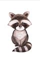 Picture of Small Raccoon _GroupedProduct_Rectangle_Portrait_Mini_ _GroupedProduct_Rectangle_Portrait_Unframed_Print_Only_
