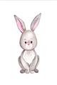 Picture of Small Bunny _GroupedProduct_Rectangle_Portrait_Mini_ _GroupedProduct_Rectangle_Portrait_Unframed_Print_Only_