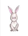 Picture of Small Bunny _GroupedProduct_Rectangle_Portrait_Mini_ _GroupedProduct_Rectangle_Portrait_Unframed_Print_Only_