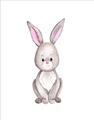 Picture of Small Bunny _GroupedProduct_Rectangle_Portrait_Mini_ _GroupedProduct_Rectangle_Portrait_Unframed_Print_Only_