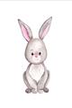 Picture of Small Bunny _GroupedProduct_Rectangle_Portrait_Mini_ _GroupedProduct_Rectangle_Portrait_Unframed_Print_Only_