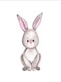 Picture of Small Bunny _GroupedProduct_Rectangle_Portrait_Mini_ _GroupedProduct_Rectangle_Portrait_Unframed_Print_Only_
