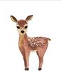 Picture of Small Deer _GroupedProduct_Rectangle_Portrait_Mini_ _GroupedProduct_Rectangle_Portrait_Unframed_Print_Only_