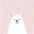 Picture of Pinky Llama  _GroupedProduct_Square_Mini_ _GroupedProduct_Square_Unframed_Print_Only_