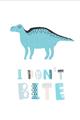 Picture of I don’t Bite _GroupedProduct_Rectangle_Portrait_Mini_ _GroupedProduct_Rectangle_Portrait_Unframed_Print_Only_