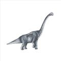 Picture of Gray Dino XIII _GroupedProduct_Square_Mini_ _GroupedProduct_Square_Unframed_Print_Only_