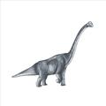 Picture of Gray Dino XIII _GroupedProduct_Square_Mini_ _GroupedProduct_Square_Unframed_Print_Only_
