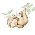 Picture of Swinging Sloth I  _GroupedProduct_Square_Mini_ _GroupedProduct_Square_Unframed_Print_Only_