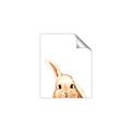 Picture of Pop up bunny _GroupedProduct_Rectangle_Portrait_Mini_ _GroupedProduct_Rectangle_Portrait_Unframed_Print_Only_