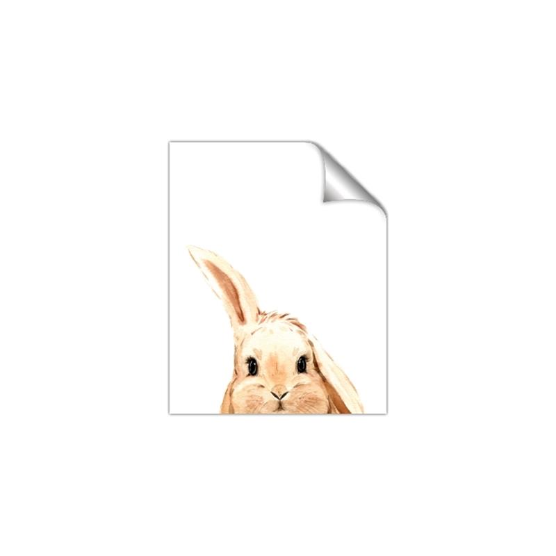 Picture of Pop up bunny _GroupedProduct_Rectangle_Portrait_Mini_ _GroupedProduct_Rectangle_Portrait_Unframed_Print_Only_