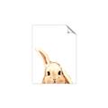 Picture of Pop up bunny _GroupedProduct_Rectangle_Portrait_Mini_ _GroupedProduct_Rectangle_Portrait_Unframed_Print_Only_