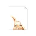 Picture of Pop up bunny _GroupedProduct_Rectangle_Portrait_Mini_ _GroupedProduct_Rectangle_Portrait_Unframed_Print_Only_