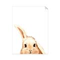 Picture of Pop up bunny _GroupedProduct_Rectangle_Portrait_Mini_ _GroupedProduct_Rectangle_Portrait_Unframed_Print_Only_