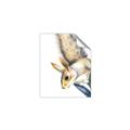 Picture of Flying Squirrel _GroupedProduct_Rectangle_Portrait_Mini_ _GroupedProduct_Rectangle_Portrait_Unframed_Print_Only_