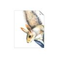 Picture of Flying Squirrel _GroupedProduct_Rectangle_Portrait_Mini_ _GroupedProduct_Rectangle_Portrait_Unframed_Print_Only_
