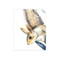 Picture of Flying Squirrel _GroupedProduct_Rectangle_Portrait_Mini_ _GroupedProduct_Rectangle_Portrait_Unframed_Print_Only_
