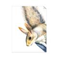 Picture of Flying Squirrel _GroupedProduct_Rectangle_Portrait_Mini_ _GroupedProduct_Rectangle_Portrait_Unframed_Print_Only_