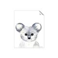 Picture of Koala Face _GroupedProduct_Rectangle_Portrait_Mini_ _GroupedProduct_Rectangle_Portrait_Unframed_Print_Only_