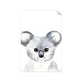 Picture of Koala Face _GroupedProduct_Rectangle_Portrait_Mini_ _GroupedProduct_Rectangle_Portrait_Unframed_Print_Only_