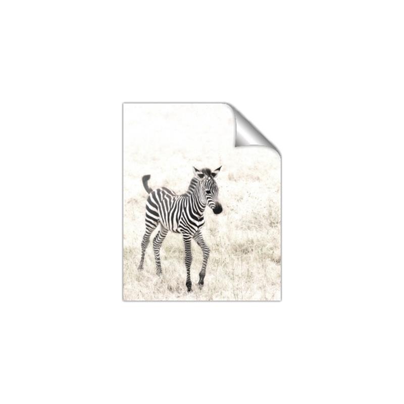 Picture of Summer Zebra _GroupedProduct_Rectangle_Portrait_Mini_ _GroupedProduct_Rectangle_Portrait_Unframed_Print_Only_