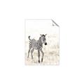 Picture of Summer Zebra _GroupedProduct_Rectangle_Portrait_Mini_ _GroupedProduct_Rectangle_Portrait_Unframed_Print_Only_