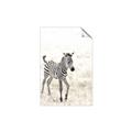 Picture of Summer Zebra _GroupedProduct_Rectangle_Portrait_Mini_ _GroupedProduct_Rectangle_Portrait_Unframed_Print_Only_