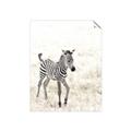 Picture of Summer Zebra _GroupedProduct_Rectangle_Portrait_Mini_ _GroupedProduct_Rectangle_Portrait_Unframed_Print_Only_